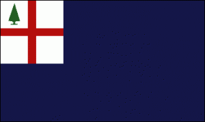 The Bunker Hill Flag