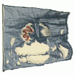 A Tennessee battalion's ruined banner A Tennessee battalion's ruined banner