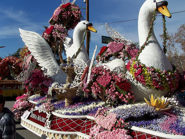 Stunning swan float in the 2008 Rose Parade. Photo by Matt Sherwood