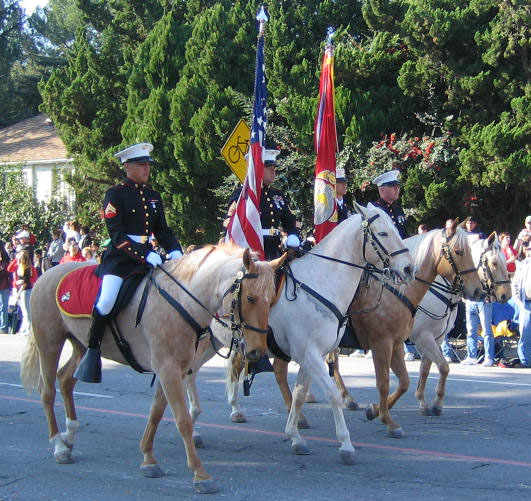 USMC Color Guard at the 2007 Rose Parade