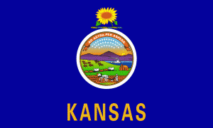 Kansas state flag. (Kansas Historical Society)