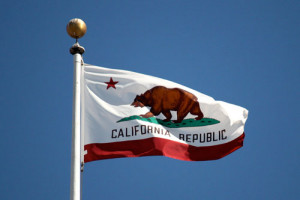 California's bear flag