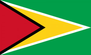 Smith designed Guyana's flag. (wikipedia.org)