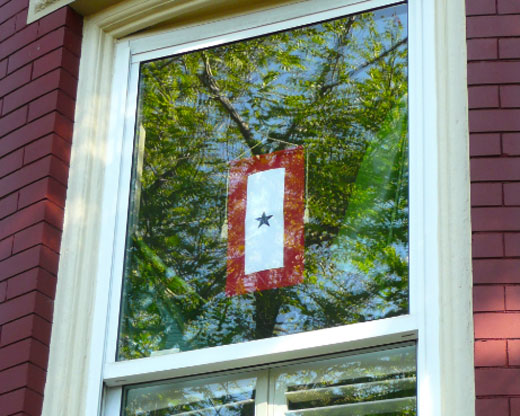 blue star banner window