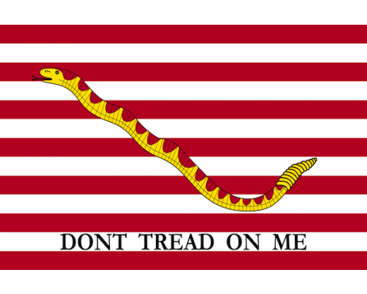 First Navy Jack flag