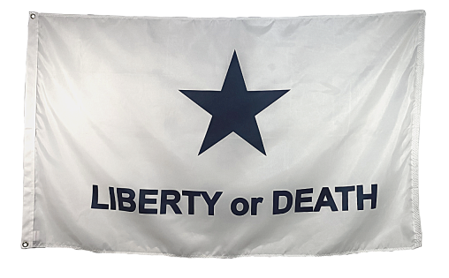Troutman Lone Star State Flag