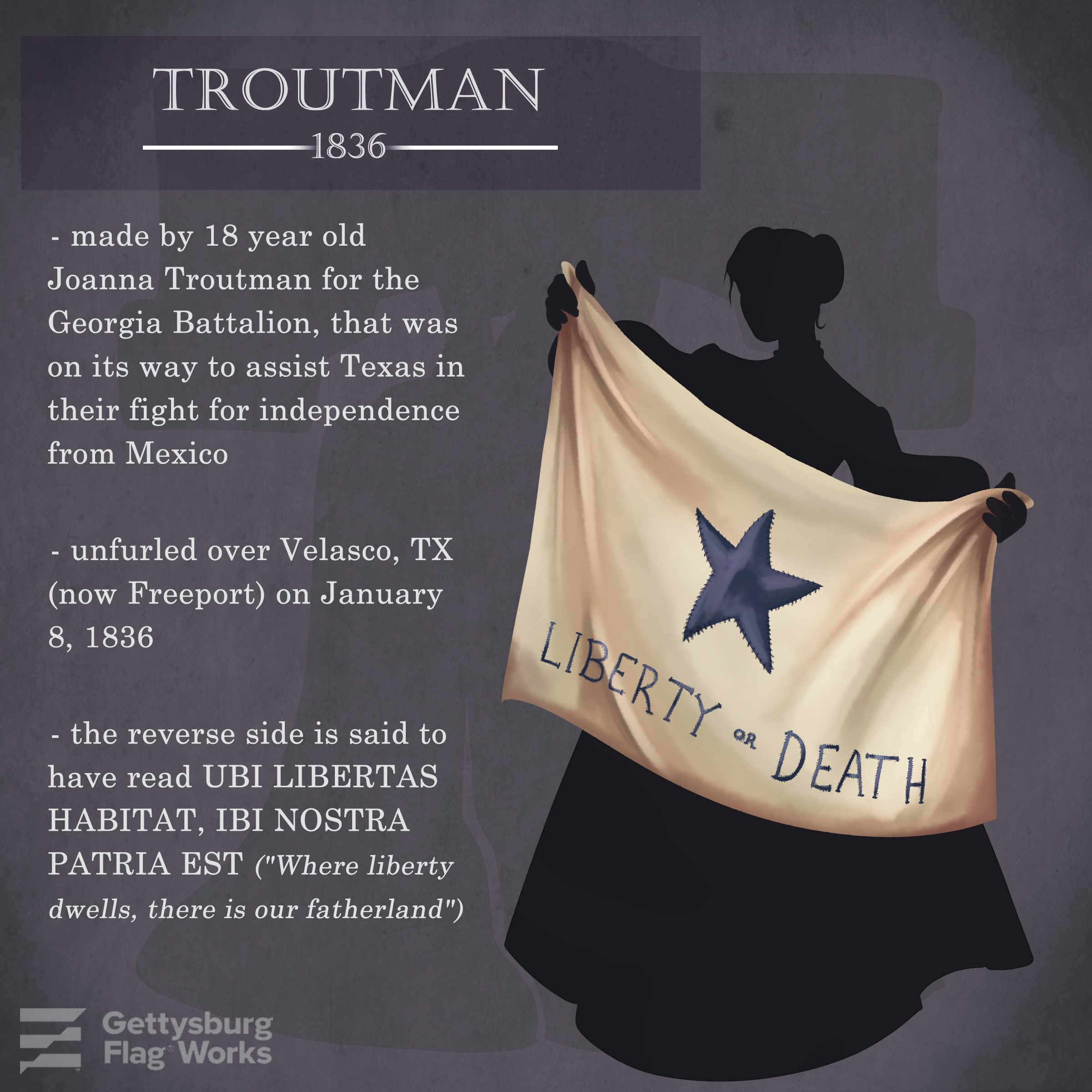 Troutman Flag Facts Infographic