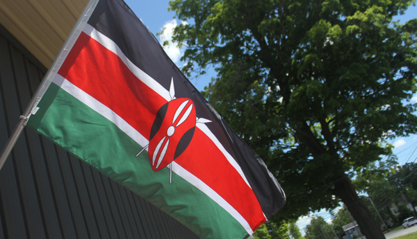 Africa Flags