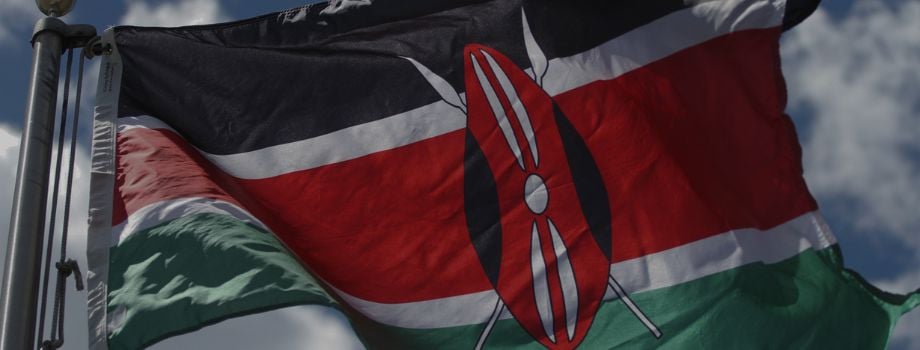 Africa Flags
