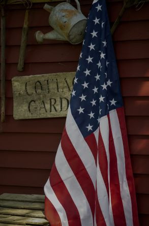 Civil Service Flags