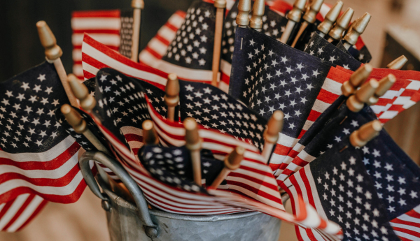 USA Stick Flags
