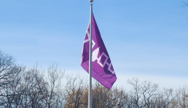 Native American Flags