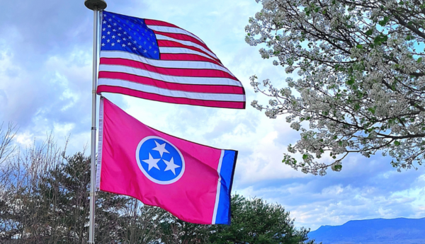 American State Flags