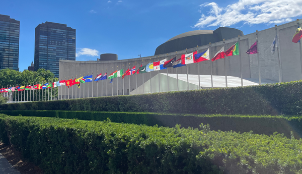 Other International Flags