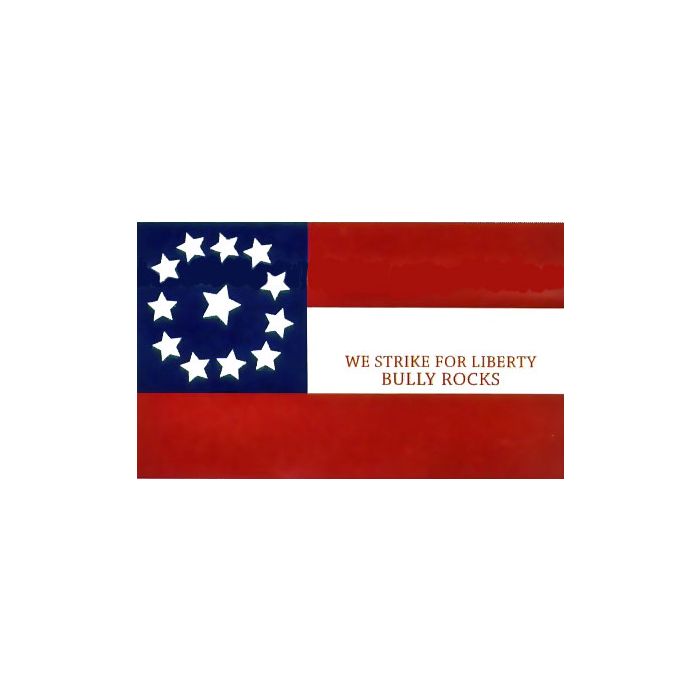 10 TX Cavalry Company E Flag - 3x5'