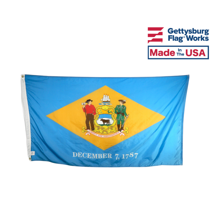 Delaware Flag - Front