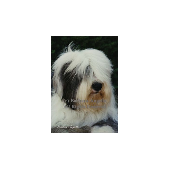 Old English Sheepdog Garden Flag
