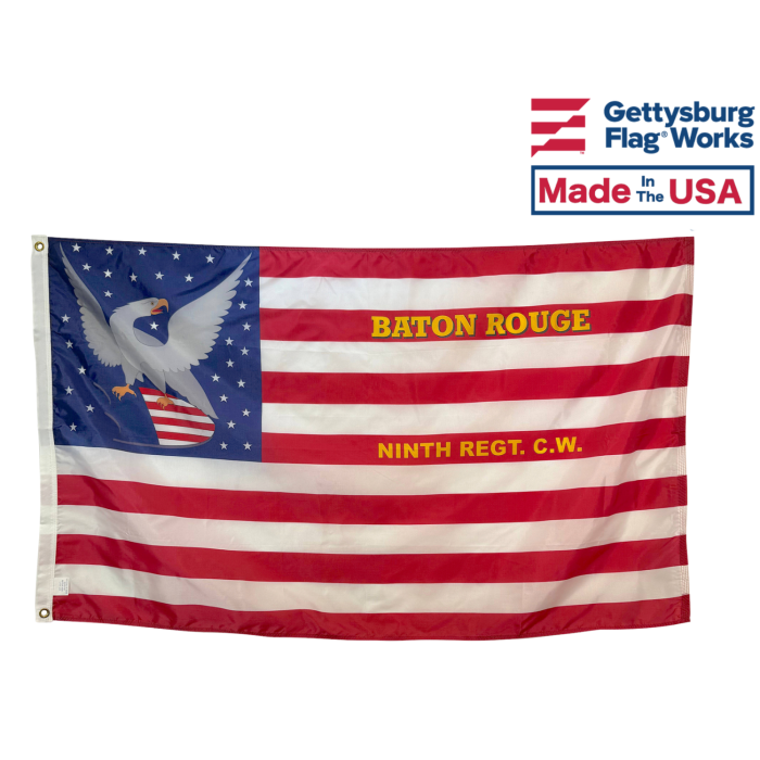 9th CT Infantry National Colors