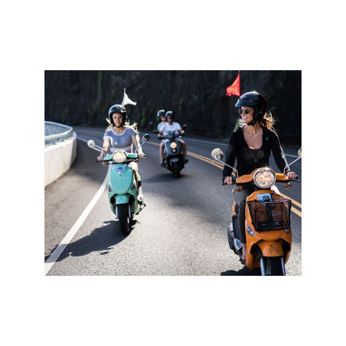 Customizable Bike Flag