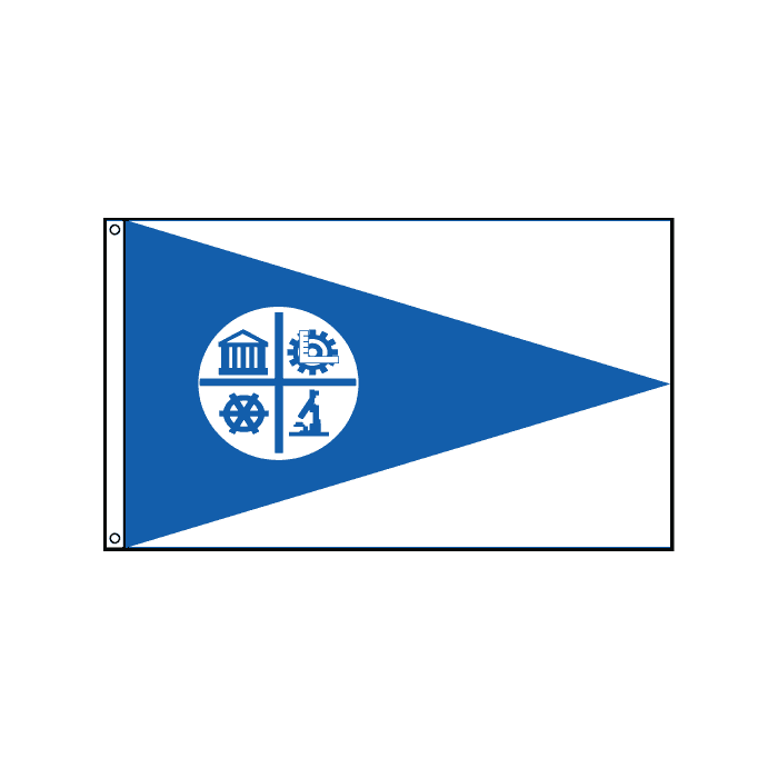 Minneapolis City Flag
