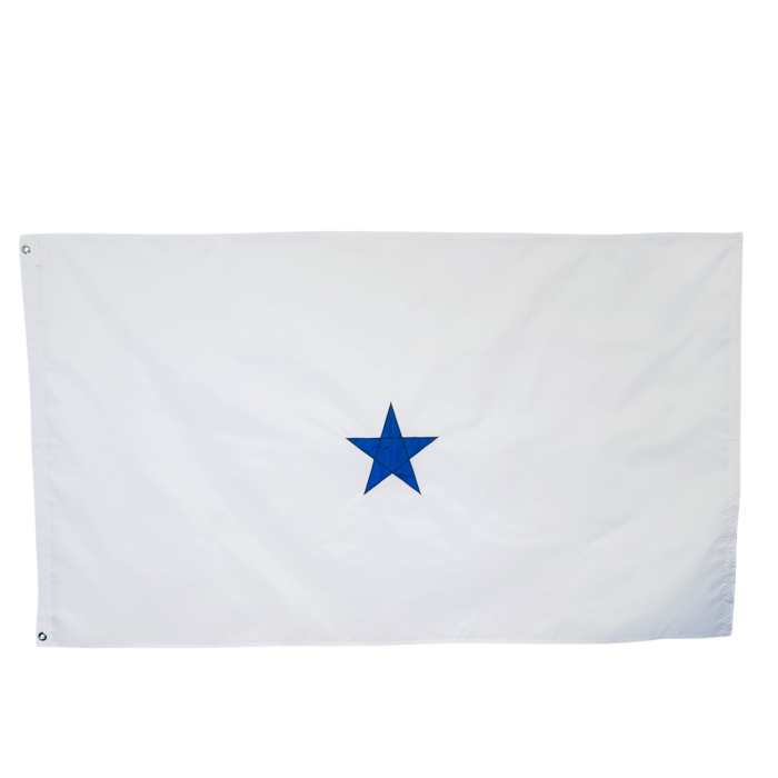 Naval Non-Seagoing Officer Flags