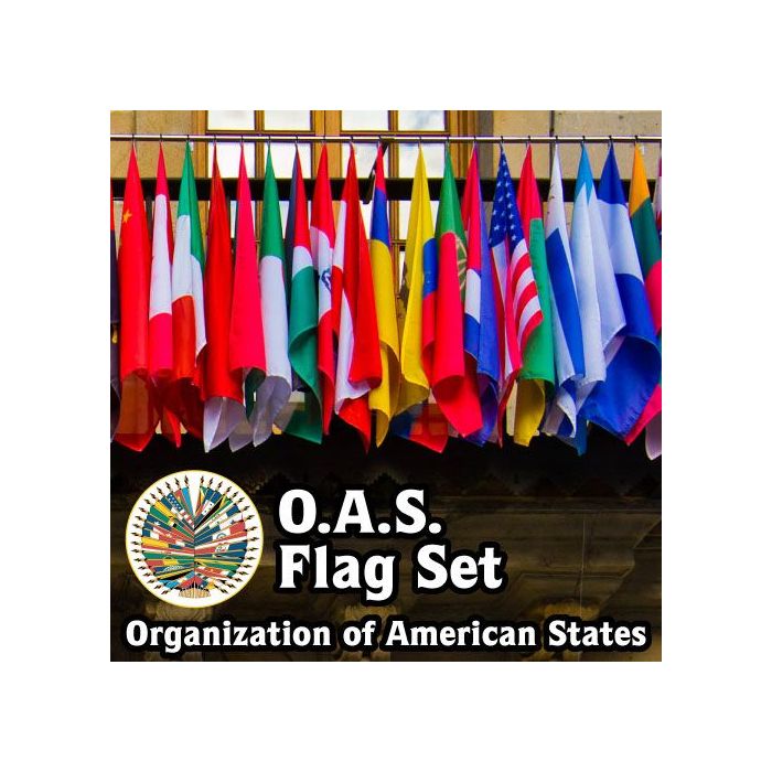 Organizations of Amercan states!