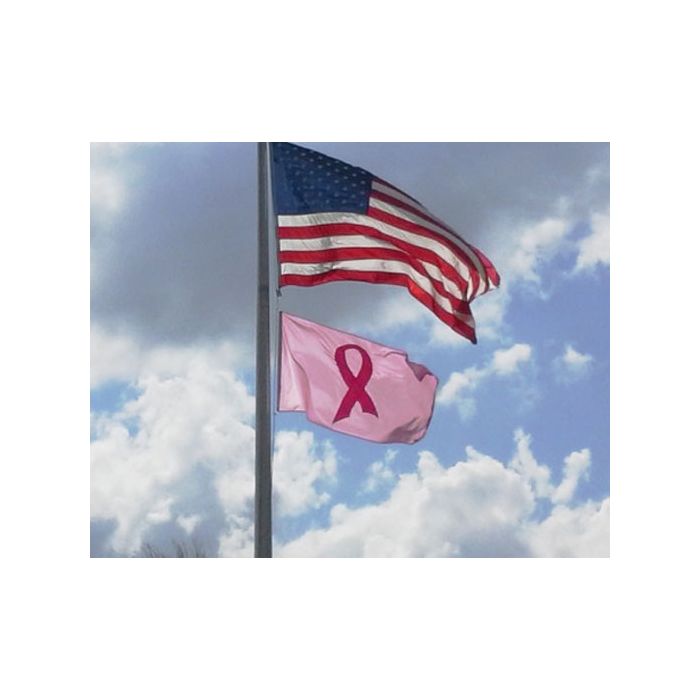 Breast Cancer Flag Flying
