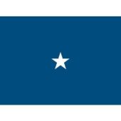 Air Force Brigadier (1 Star) General - Indoor Air Force Officer Flags