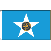 Houston City Flag