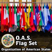 Organization of American States (O.A.S.) Flag Set