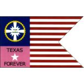 Tylers Guard Texas Guidon Flag - 3x5'