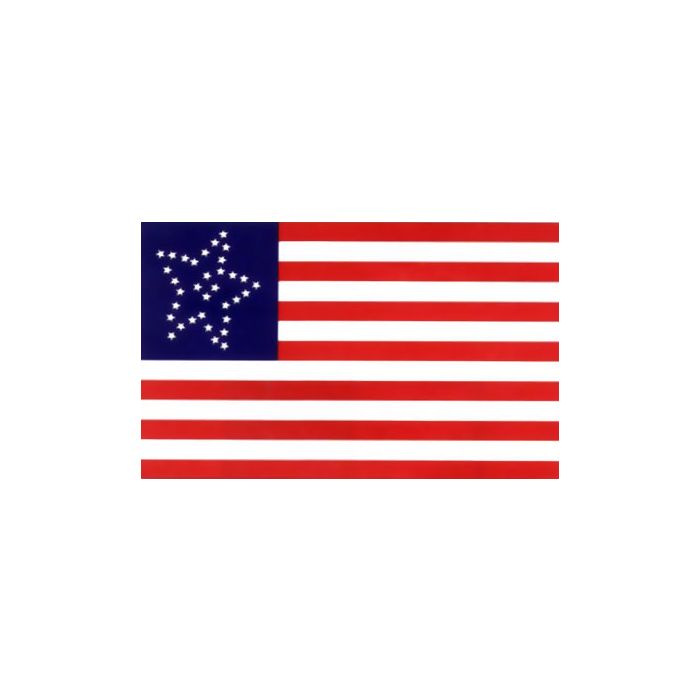 34 Star Great Flower US Civilian Flag - 3x5'
