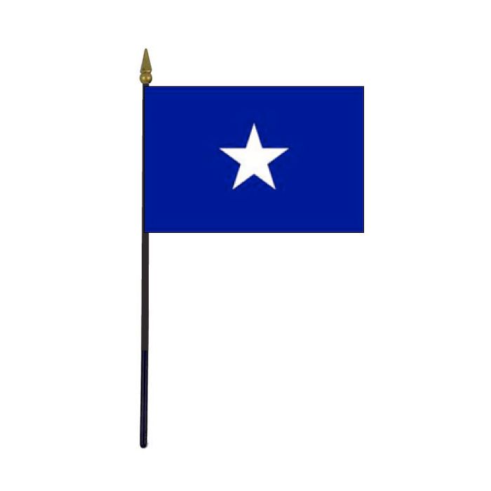 Bonnie Blue Stick Flag - 4x6"