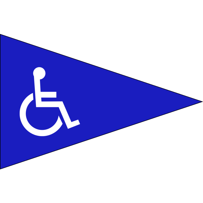 Handicap Pennant With Whiprod