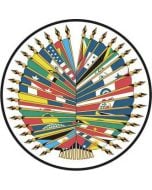 OAS 35 Member Stick Flag Set