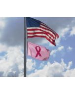 Breast Cancer Flag Flying