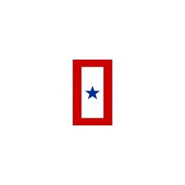 Service Star Magnet - Choose Options