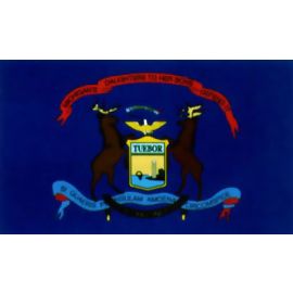 1st MI Infantry Regiment Flag - 3x5'