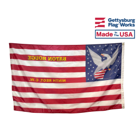 9th CT Infantry National Colors