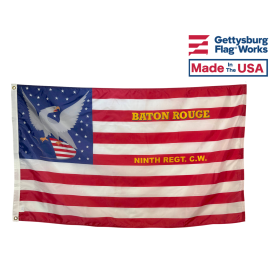 9th CT Infantry National Colors