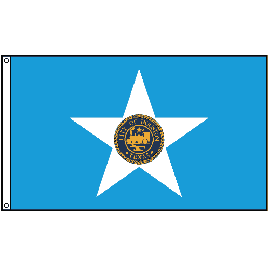 Houston City Flag