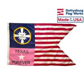 Tylers Texas Guard Guidon