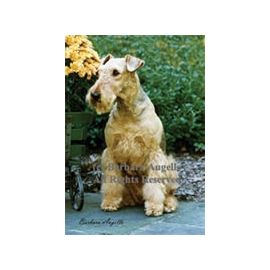 Airedale Garden Flag