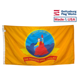 Princess Anne Cavalry Flag Civil War
