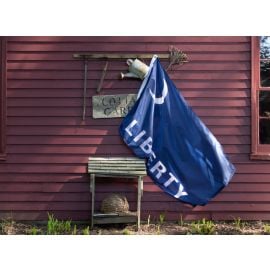 Fort Moultrie Liberty Flag