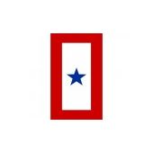 Service Star Magnet - Choose Options