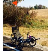 Bike Flag (Flag Only)