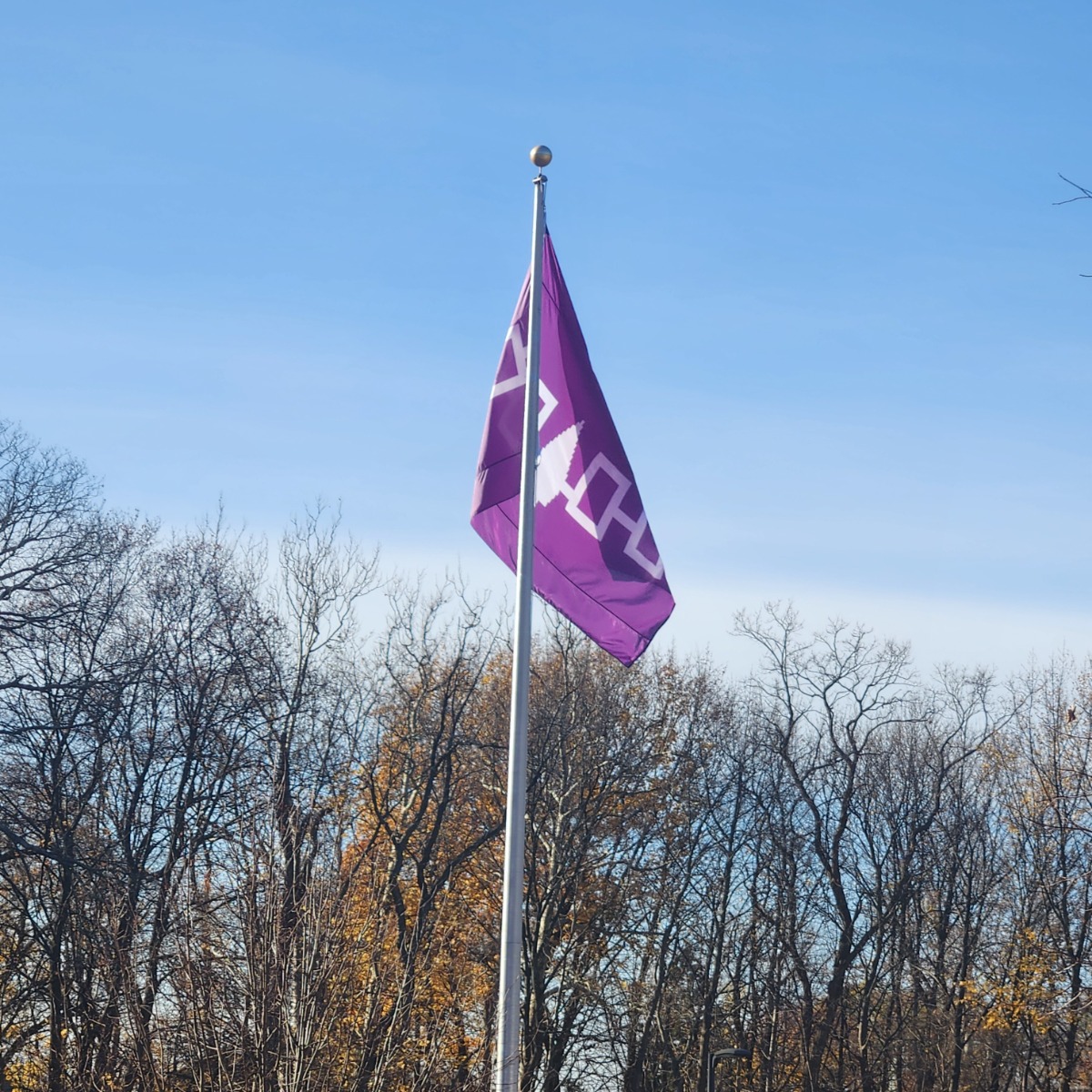Flag iroquois 意味 アメリカ合衆国の年齢は 簡単な歴史をわかりやすく説明します