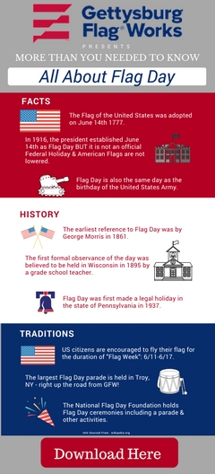 Flag Day Infographic