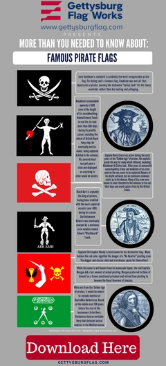 Pirate Flags Infographic